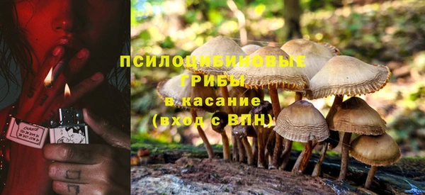 марихуана Горнозаводск