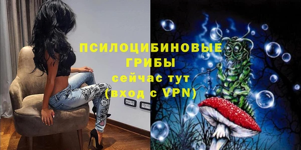 винт Гусиноозёрск