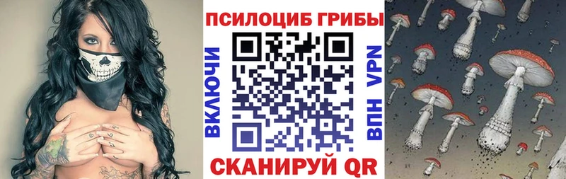 Купить закладки  Новая Усмань  Галлюциногенные грибы ЛСД 